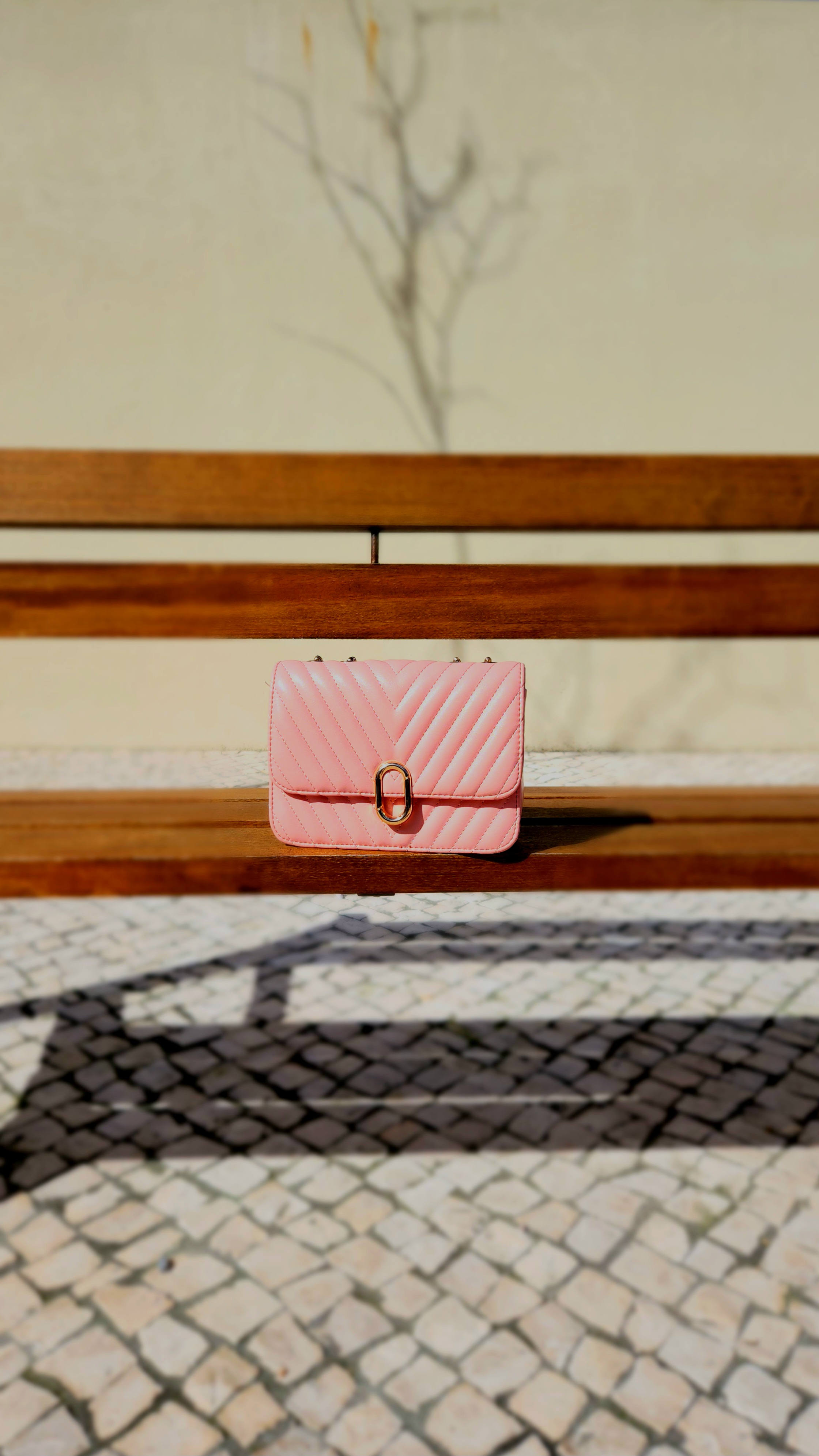 Women's Handbag Promotion